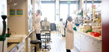 Gleichberechtigung in der Wissenschaft: Deutschland schneidet im EU-Vergleich schlecht ab