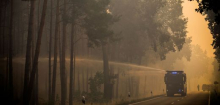 Brandenburg: Forscher untersuchen Auswirkungen von Waldbränden
