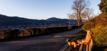 Wetter-Bilanz: Winter in Deutschland war mild und trocken
