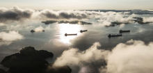 Panamakanal: Raubfische breiten sich aus - Ökosystem verändert sich