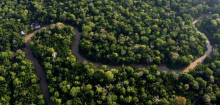 Brasilien: Straße wird durch den Regenwald gebaut – für die Klimakonferenz