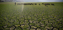 WMO-Bericht 2024 zum Klima: Klimawandel durch Menschen auf neuem Höhepunkt