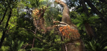 Mongolei: Dinosaurier Duonychus tsogtbaatari aus Fossilien rekonstruiert