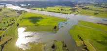 Klimabericht des Deutschen Wetterdienstes für 2024: So hart trifft Deutschland die Klimakrise