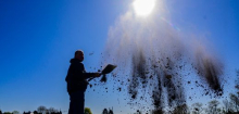Trockenheit in Deutschland: Wasserproblem im Koalitionsvertrag kaum berücksichtigt