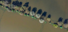 Hochwasser, Sturmfluten, Waldbrände: Portal soll Bürger besser auf Naturgefahren vorbereiten