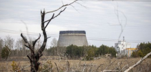 Ukraine: Kontaminiertes Ackerland von Tschernobyl kann wohl wieder bewirtschaftet werden