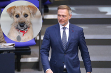 Christian Lindner überfährt Hund eines Filmproduzenten
