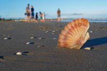 Pläne für die bekannte Muschelinsel vor Lignano enthüllt 