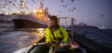 »Nature«-Wettbewerb: Die spektakulärsten Bilder von Forscherinnen und Forschern bei der Arbeit