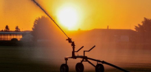 Sommer 2025: Hitze und Trockenheit – droht ein neuer Katastrophensommer?