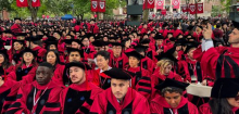 Harvard: Für die Elite-Uni kommt ein Exilcampus in Deutschland nicht infrage