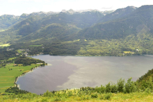 Kaj je povzročilo več poginov psov po kopanju v Bohinjskem jezeru?