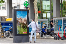 Svetlobna vitrina s kravo Lisko in zvoncem zabavala Ljubljančane