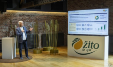 Počinje javna ponuda dionica Žito Grupe, planira se prikupiti do 141 milijun eura