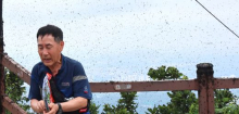 Südkorea: Lovebugs machen Menschen in Seoul zu schaffen - Invasion der Liebesinsekten