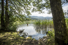 Mysteriös: Kinder finden wohl menschlichen Knochen in Kärntner Strandbad