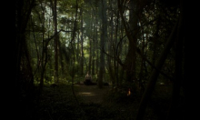 Tri hrvatska filma među svjetskim premijerama na jednom od najznačajnijih europskih festivala