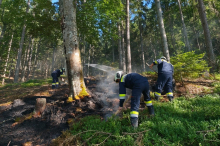Vierter Waldbrand binnen Tagen: Mürztaler Feuerwehren im Dauereinsatz