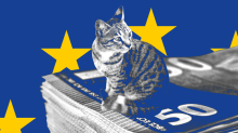 Europaparlament: Wie Rechtsaußen-Politiker die Brüsseler Parlamentskasse plünderten 