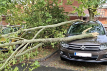 Unwetter: Sturm traf Teile von St. Stefan ob Stainz mit voller Wucht 