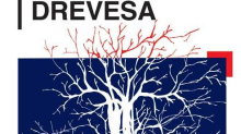 Percival Everett: Drevesa