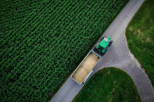Krise der Landwirtschaft?: Neun Betriebe sperren pro Tag zu: Verliert Österreich seine Bauern?