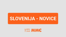 Na veterinarski zbornici in na upravi za varno hrano obsojajo grožnje veterinarjem zaradi usmrtitve psov