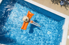 Wasserknappheit: Land erwägt höhere Wassergebühren für Poolbesitzer