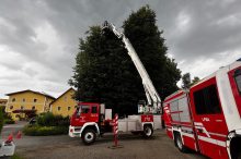 Einsatz in Spielberg : Verletzten Storch aus luftiger Höhe gerettet  