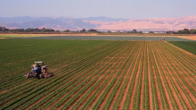 Produzione agricola e ittica +14% in dieci anni
