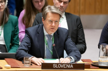 Slovenija v Varnostnem svetu ZN-a obsodila nedavne izraelske napade na Sirijo