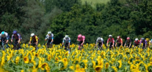 Tour de France: Das letzte Durchatmen, bevor es richtig hart wird