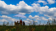 Wetter: Wolken und Sonne in Berlin und Brandenburg