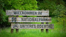 Umwelt: Junior-Ranger schlagen Zelte am Nationalpark auf