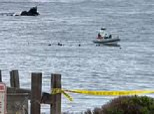 One dead, two missing after private plane crashes in California