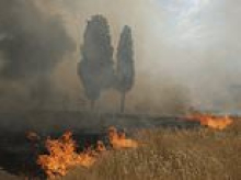 Southern Europe burns: 'Apocalyptic' wildfires rage in holiday hotspots with 14 people killed in Turkey, Greece battling 50 blazes in a day and villages razed to the ground in Albania