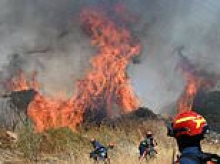 Wildfires burn through the night in Eastern Europe as over 50 blazes in Greece alone sees families evacuated from their homes