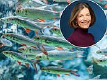 Never mind big banks, invest in the minnows: This MIDAS tip is up 80% and there's more to come