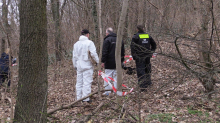 Ungeklärter Kriminalfall: Oberschenkel-Fund in Park - Fall bei 