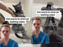 Vet issues warning against 'disappointing' viral pet trend that leaves animals 'panicking and stressed'