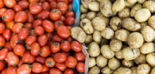 Kartoffeln: Rätsel um Ursprung gelüftet, die Kartoffel stammt von der Tomate ab