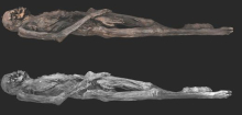 Tattoos: Forschende entdecken Tätowierungen auf 2000 Jahre alter Eismumie aus Sibirien