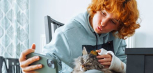 Katzen: Universität Bochum benötigt Katzenvideos für die Forschung