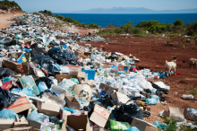 Je umetna inteligenca nova plastika?