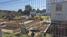 Za Bežigradom nastaja fenološki park, na dvorišču ARSO podrli drevesa in betonirajo