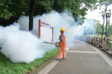 Virus čikungunja: v kitajski pokrajini Guangdong sprejemajo ukrepe, podobne tistim iz časa covida