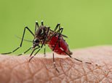 Organ-destroying virus that has sparked global pandemic fears is rife in holiday hotspots, warn experts