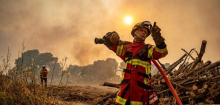 Waldbrand in Frankreich: Warum sich die Flammen nur schwer beherrschen lassen