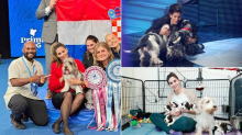 Prije 16 godina plesala je sa psima na Supertalentu, a sada ima najljepšeg psa na svijetu